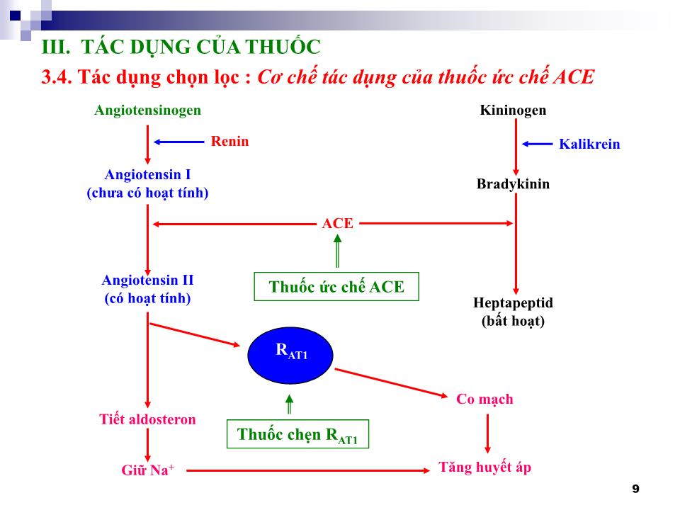 Bài giảng Hóa dược, Dược lý học - Tác dụng của thuốc trang 9