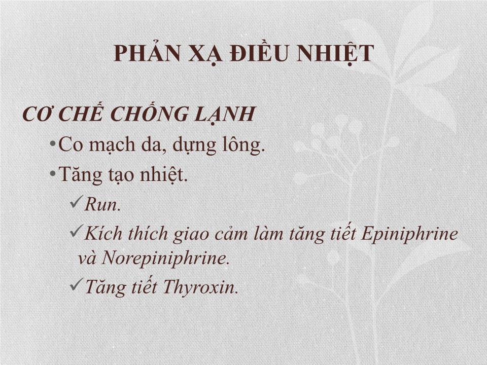 Bài giảng Điều hòa thân nhiệt trang 10