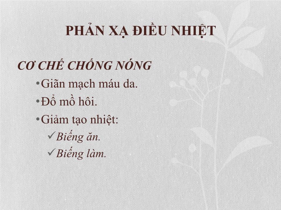 Bài giảng Điều hòa thân nhiệt trang 7