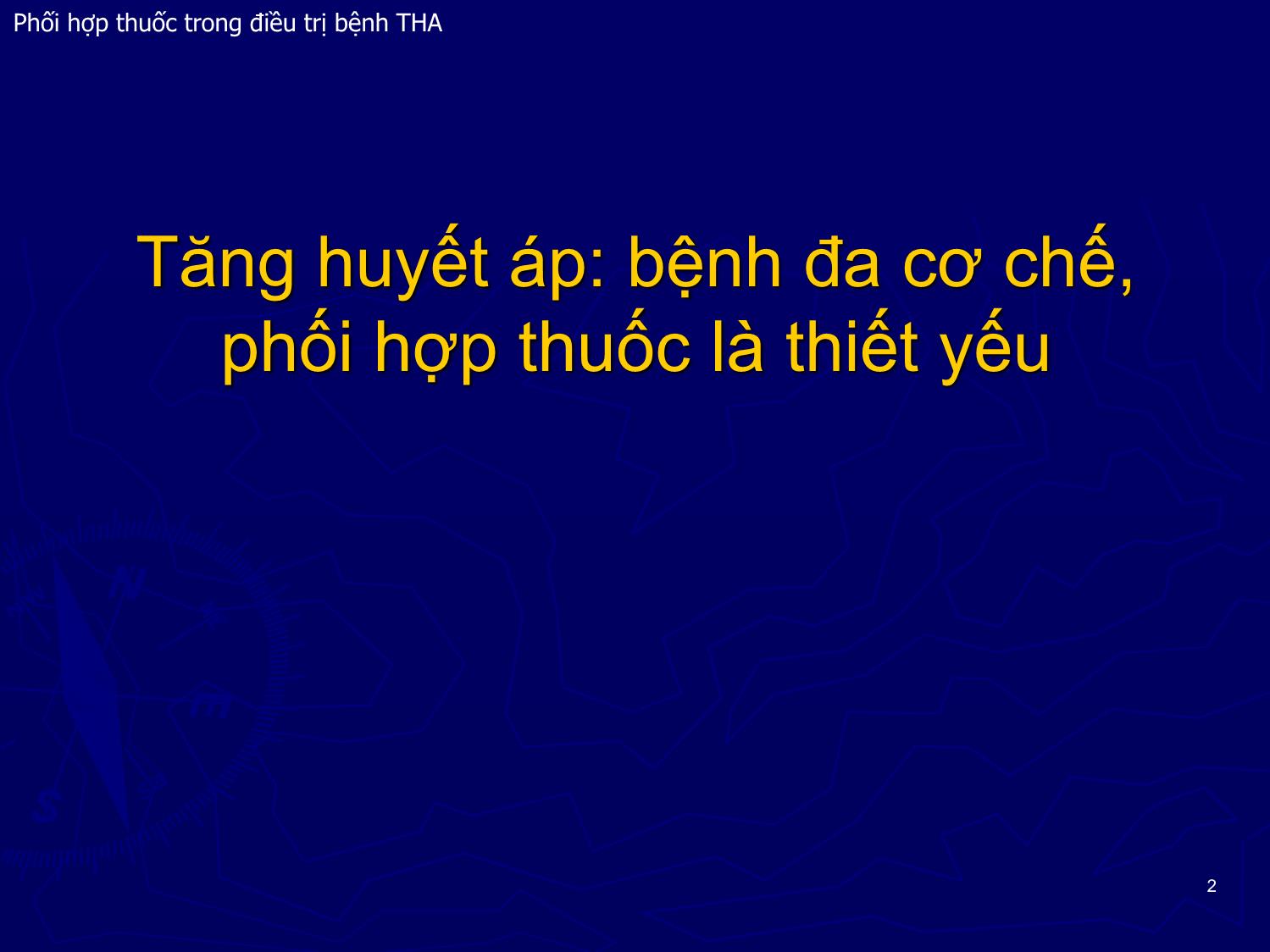 Bài giảng Phối hợp thuốc trong điều trị bệnh Tăng huyết áp trang 2