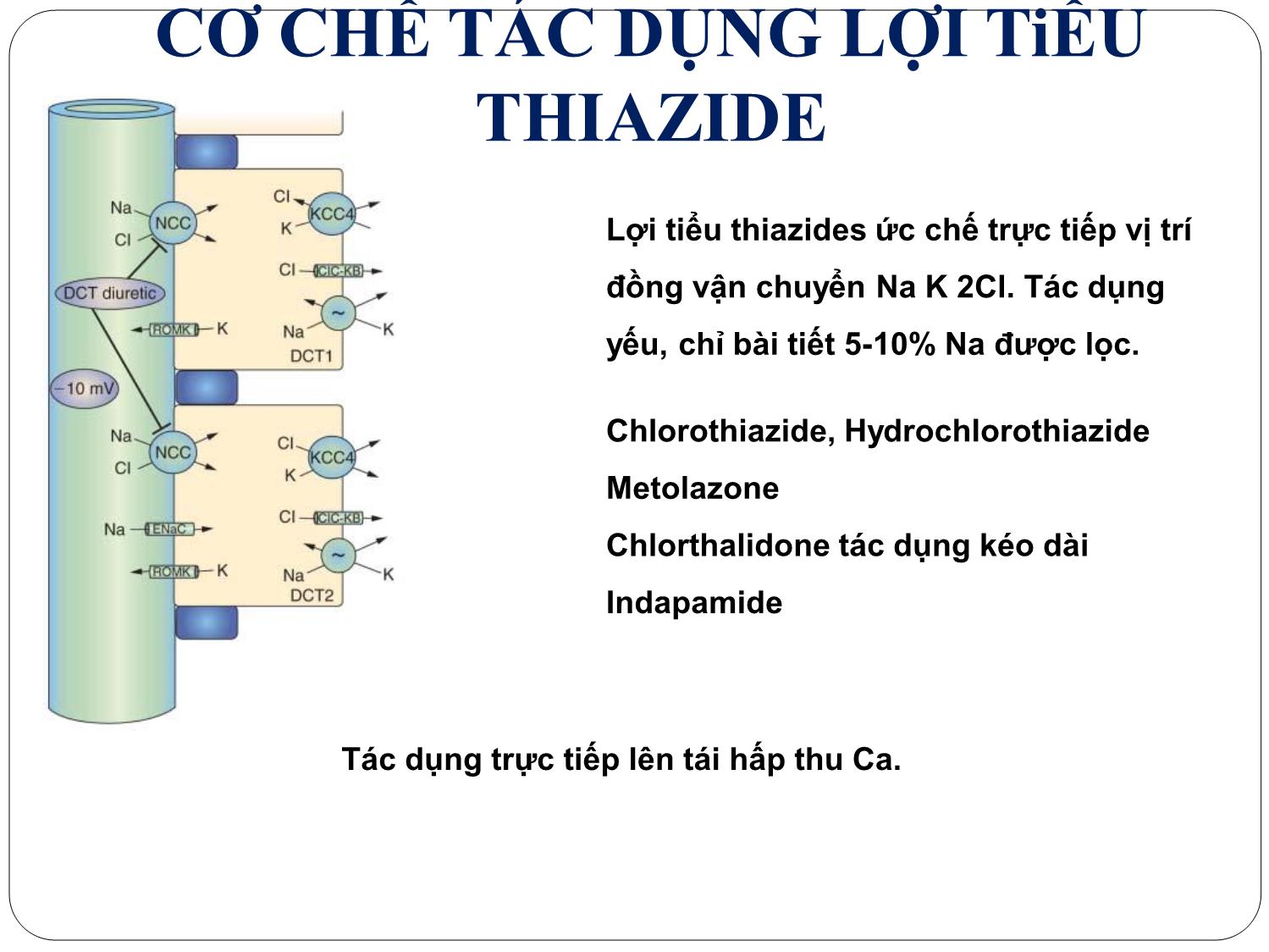 Bài giảng Dược lý - Thuốc lợi tiểu trang 10