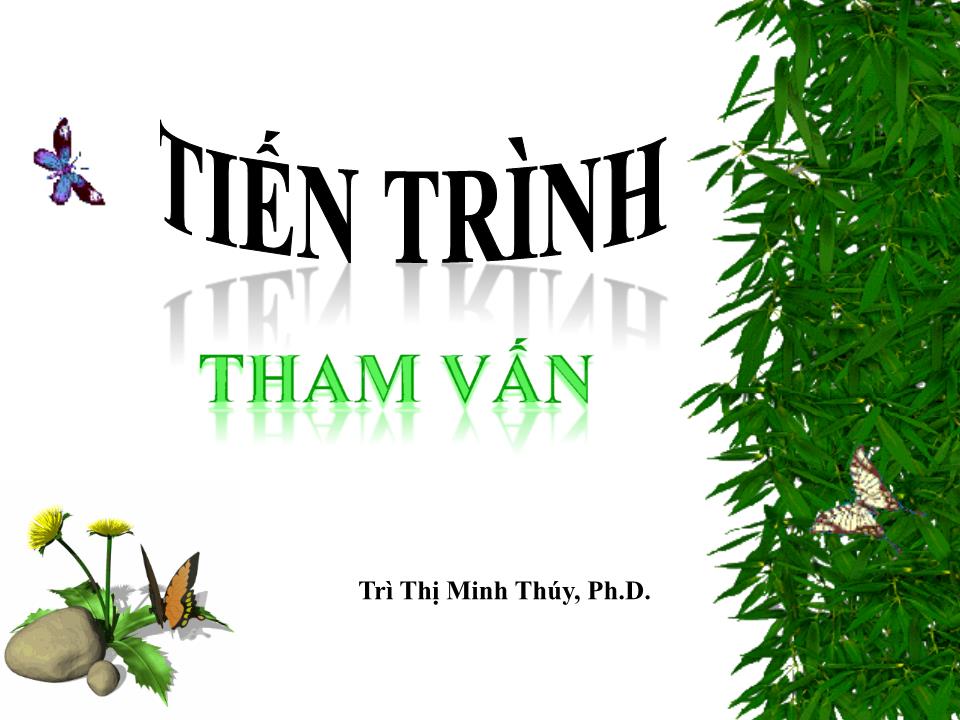 Bài giảng Tiến trình tham vấn trang 1