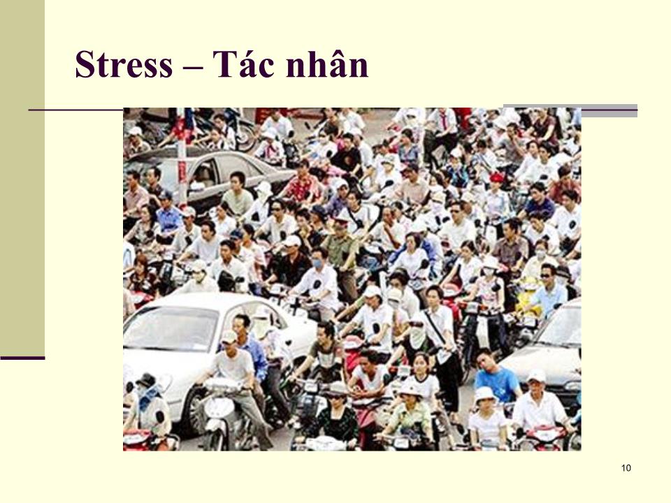 Bài giảng Tâm lý học sức khỏe - Bài 5: Căng thẳng (Stress) và cách ứng phó trang 10