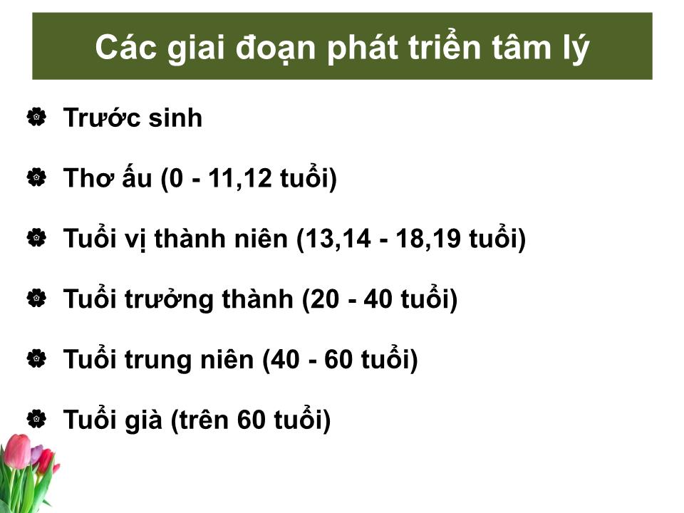 Bài giảng Tâm lý học sức khỏe - Bài 2: Các giai đoạn phát triển tâm lý con người trang 10