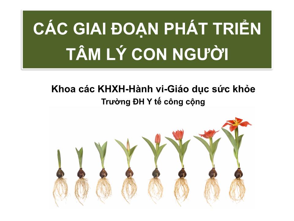 Bài giảng Tâm lý học sức khỏe - Bài 2: Các giai đoạn phát triển tâm lý con người trang 1