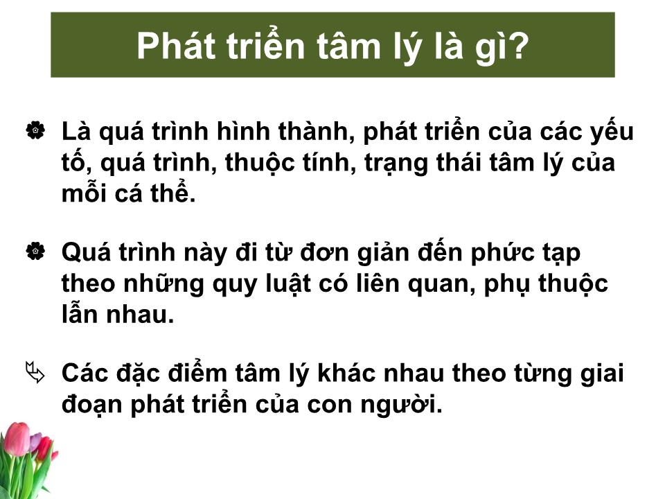 Bài giảng Tâm lý học sức khỏe - Bài 2: Các giai đoạn phát triển tâm lý con người trang 3