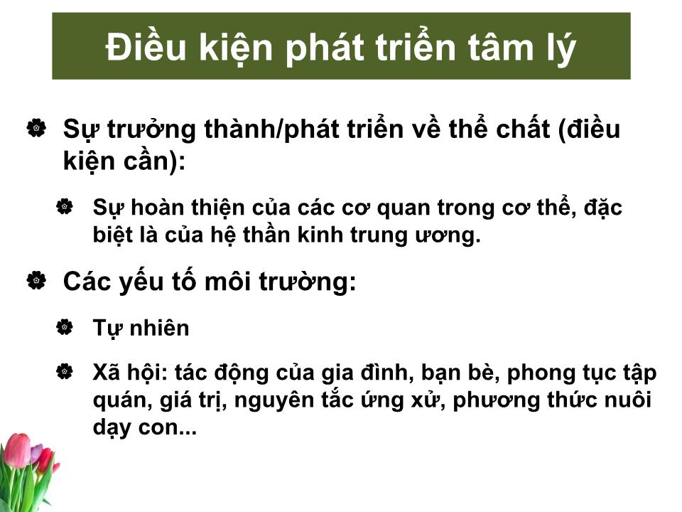 Bài giảng Tâm lý học sức khỏe - Bài 2: Các giai đoạn phát triển tâm lý con người trang 4