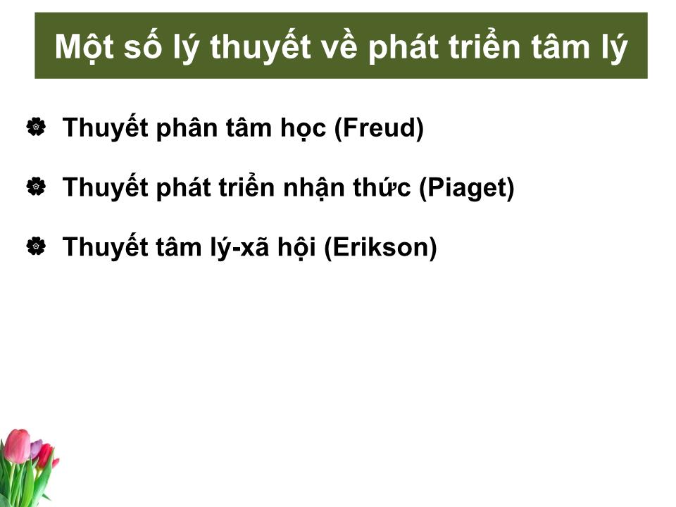 Bài giảng Tâm lý học sức khỏe - Bài 2: Các giai đoạn phát triển tâm lý con người trang 5