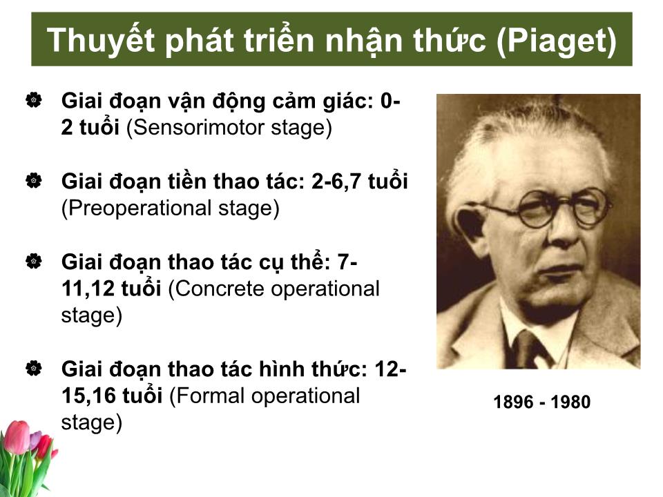 Bài giảng Tâm lý học sức khỏe - Bài 2: Các giai đoạn phát triển tâm lý con người trang 7