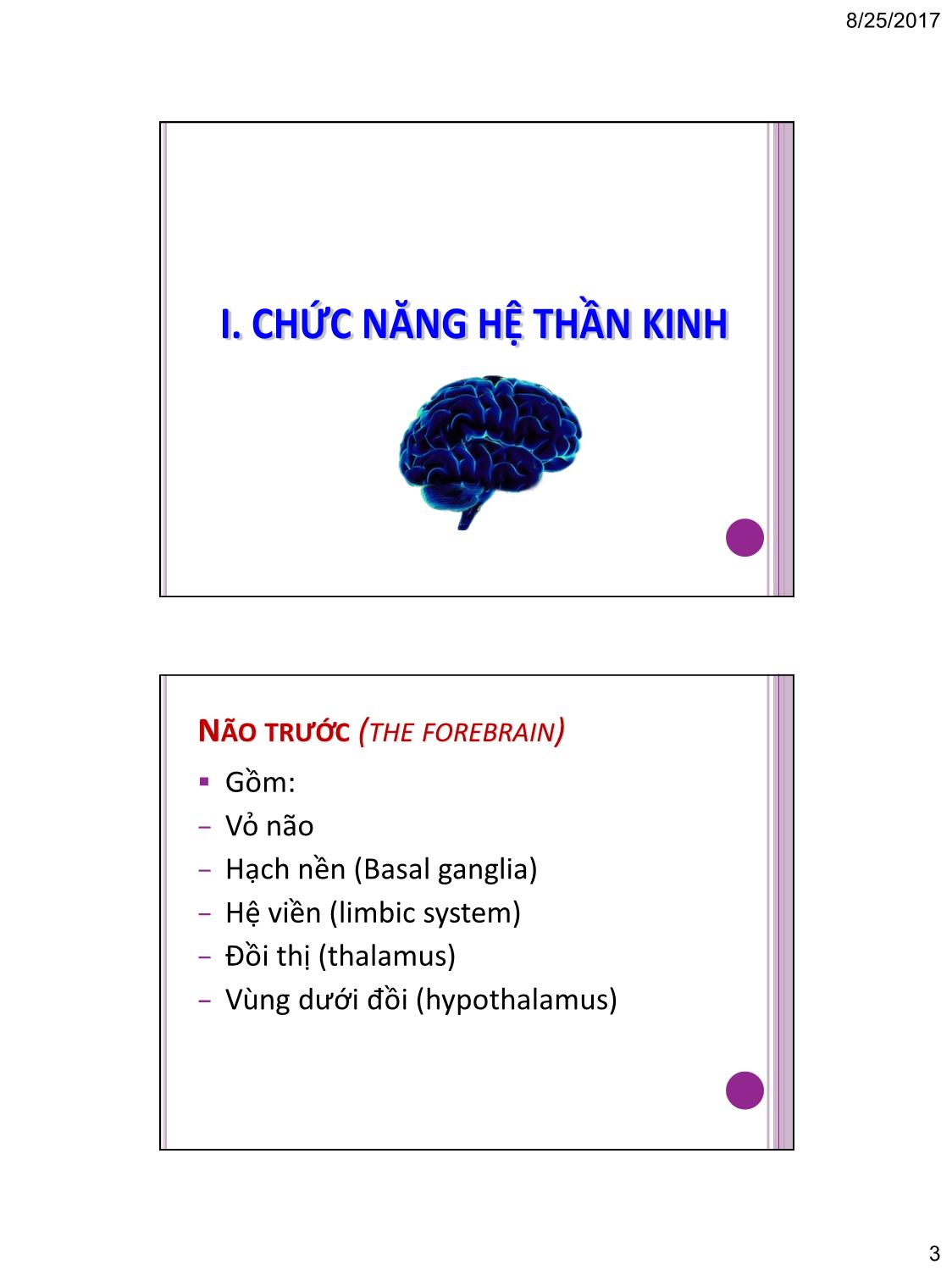 Bài giảng Tâm lý học nhận thức - Chương 2: Cơ sở sinh lý của tâm lý học nhận thức trang 3