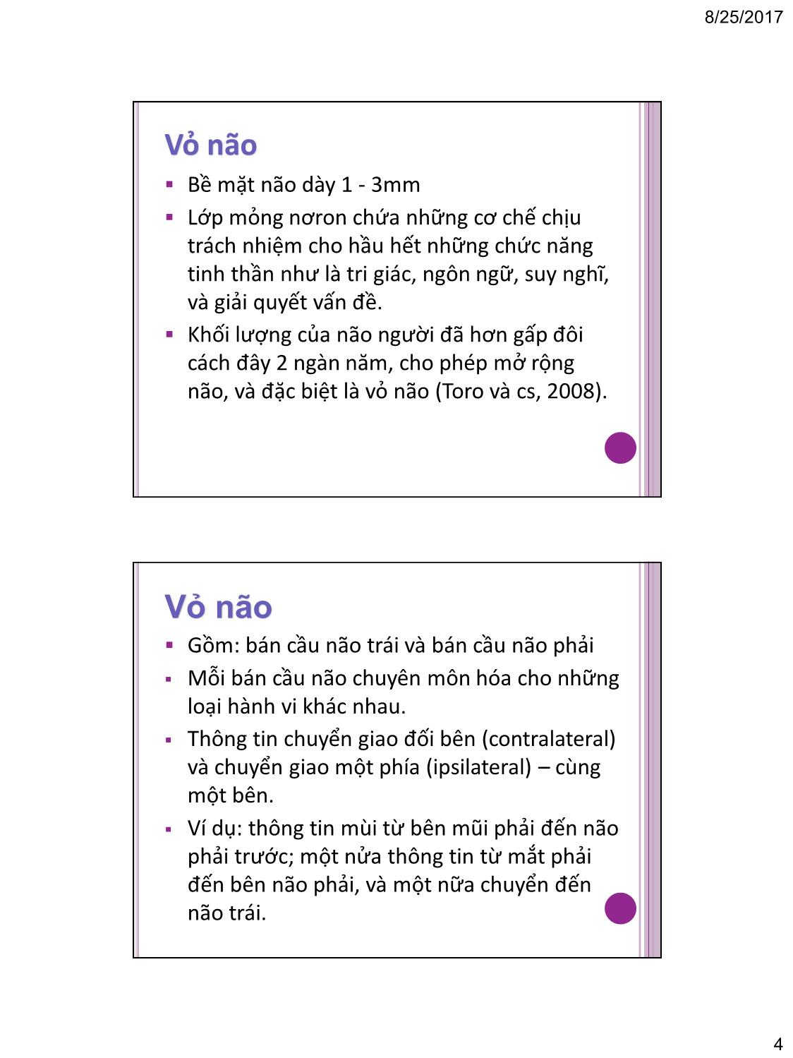 Bài giảng Tâm lý học nhận thức - Chương 2: Cơ sở sinh lý của tâm lý học nhận thức trang 4