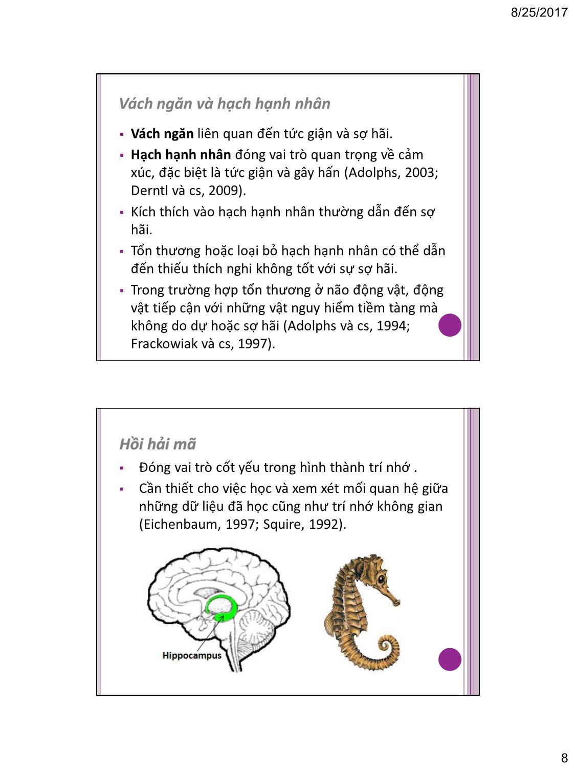 Bài giảng Tâm lý học nhận thức - Chương 2: Cơ sở sinh lý của tâm lý học nhận thức trang 8