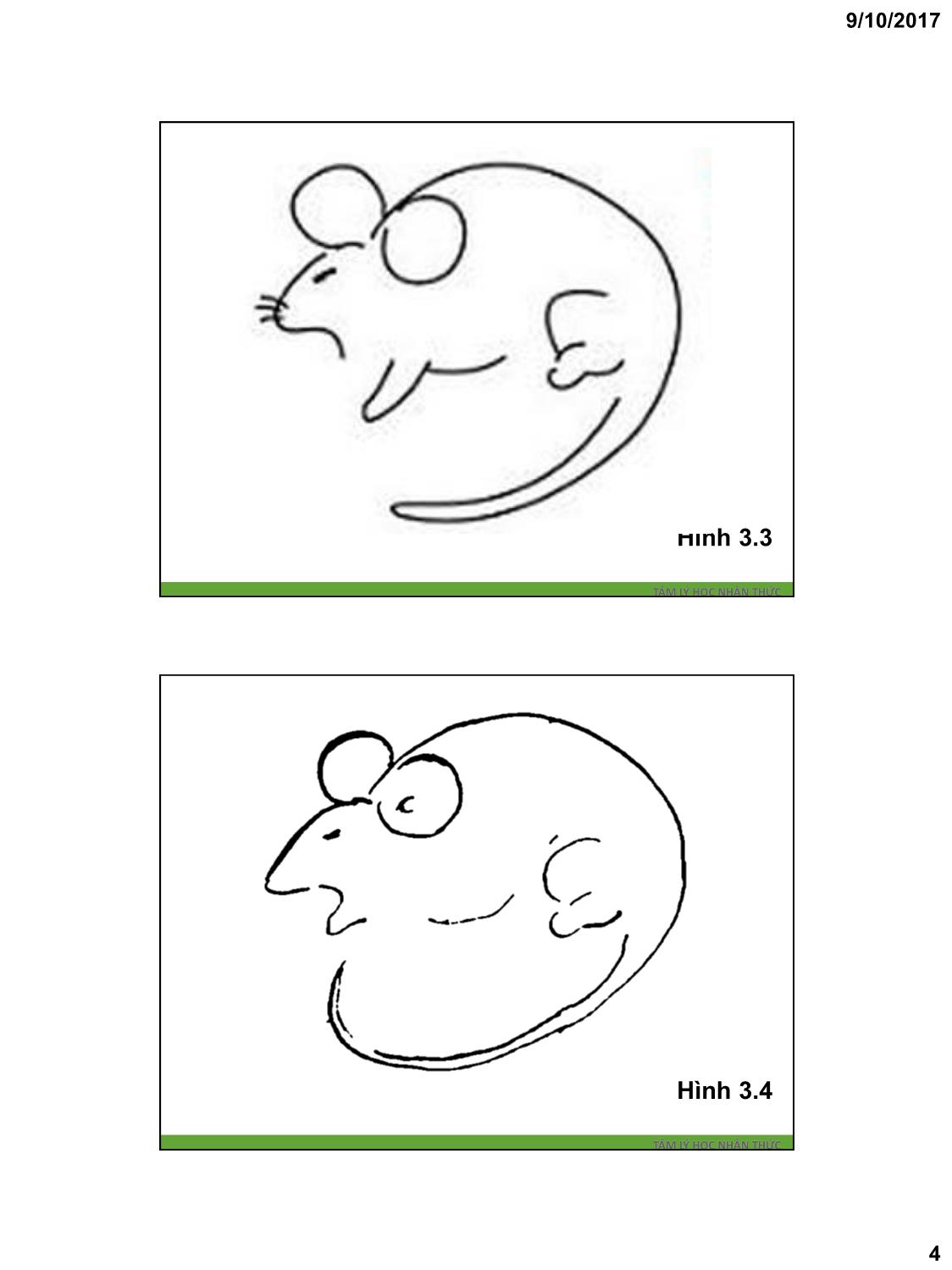 Bài giảng Tâm lý học nhận thức - Chương 3: Tri giác (Perception) trang 4