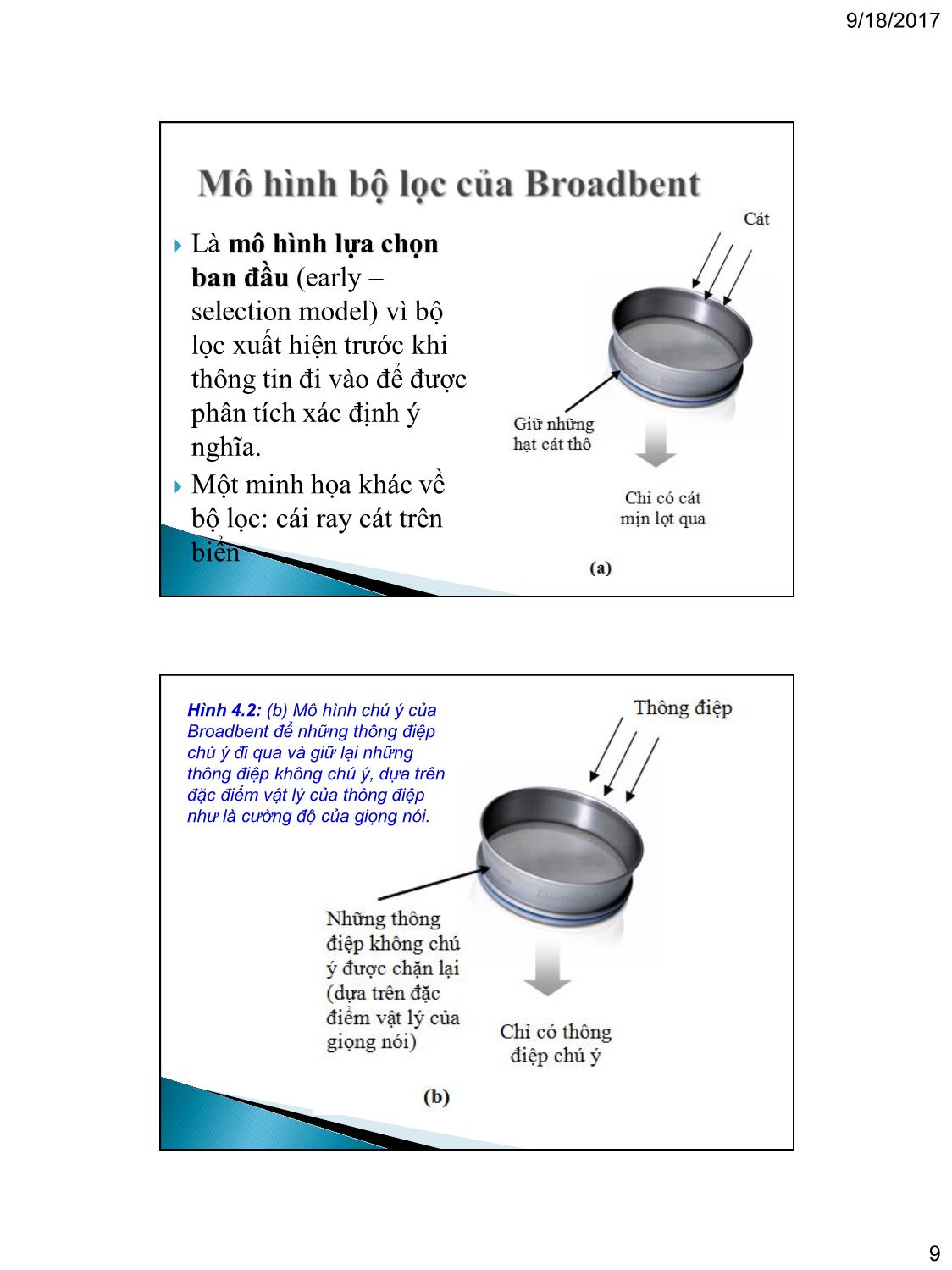 Bài giảng Tâm lý học nhận thức - Chương 4: Chú ý (Attention) trang 9