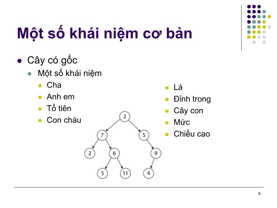 Bài giảng Toán rời rạc - Chương 6: Cây trang 6