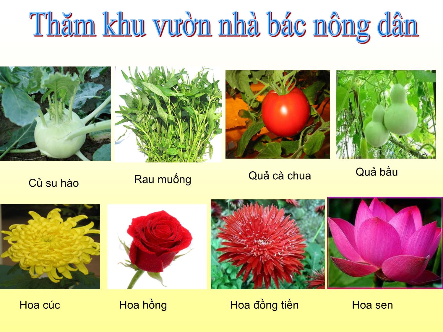 Bài giảng Mầm non Lớp Chồi - Chủ đề: Động vật quanh bé - Đề tài: Hướng dẫn một số trò chơi mới - Nguyễn Thị Thanh Huyền trang 2