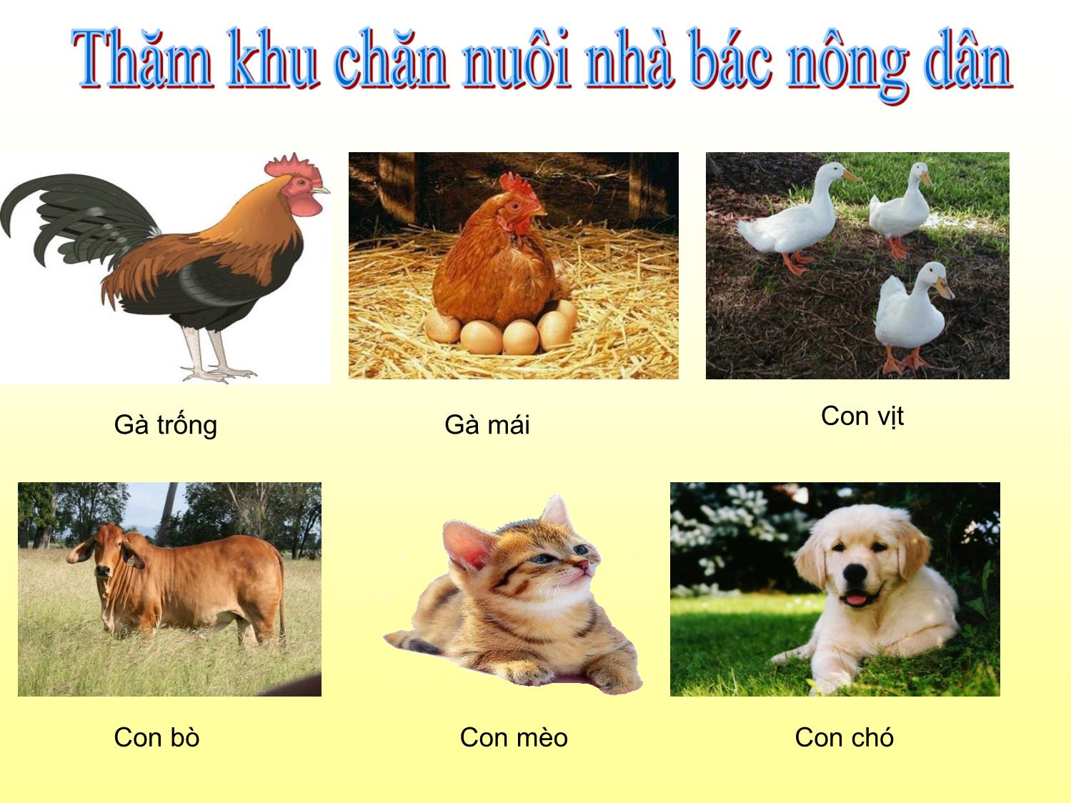 Bài giảng Mầm non Lớp Chồi - Chủ đề: Động vật quanh bé - Đề tài: Hướng dẫn một số trò chơi mới - Nguyễn Thị Thanh Huyền trang 3