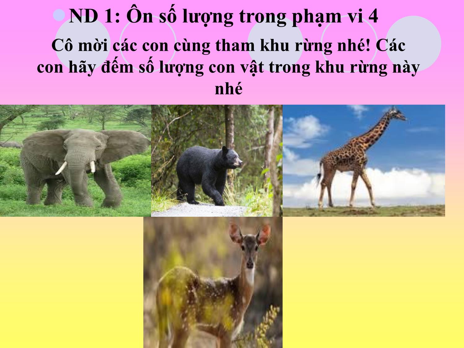 Bài giảng Mầm non Lớp Lá - Chủ đề: Thế giới động vật - Nguyễn Thị Hải trang 5