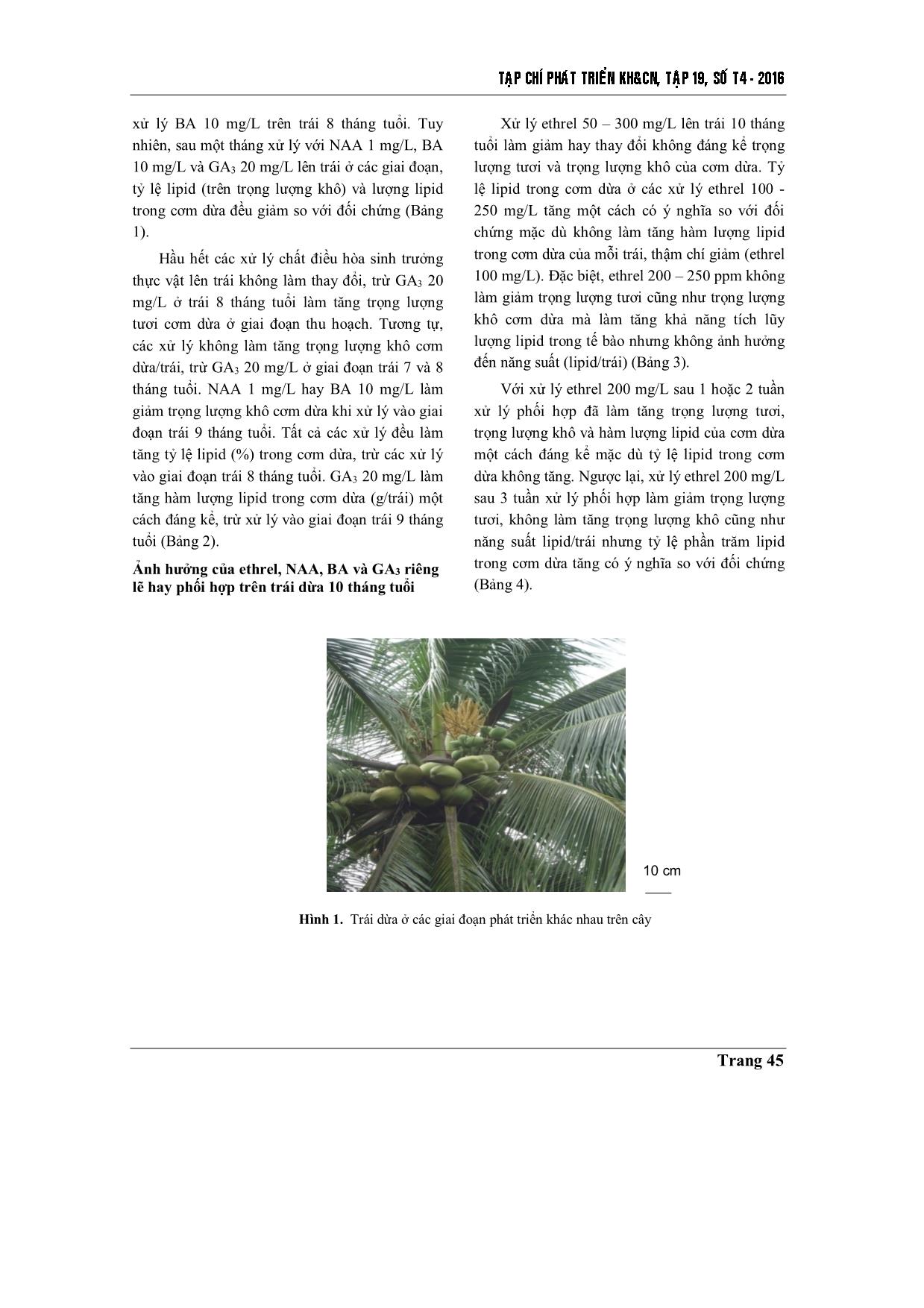 Ảnh hưởng của các chất điều hòa sinh trưởng thực vật lên sự tăng trưởng và tích lũy lipid trong nội nhũ rắn của trái Dừa Ta Xanh (Cocos nucifera L.) trang 3