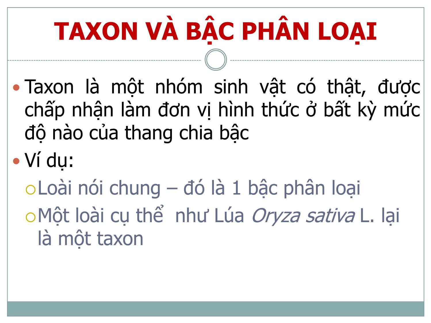 Bài giảng Danh pháp và phân loại thực vật trang 6