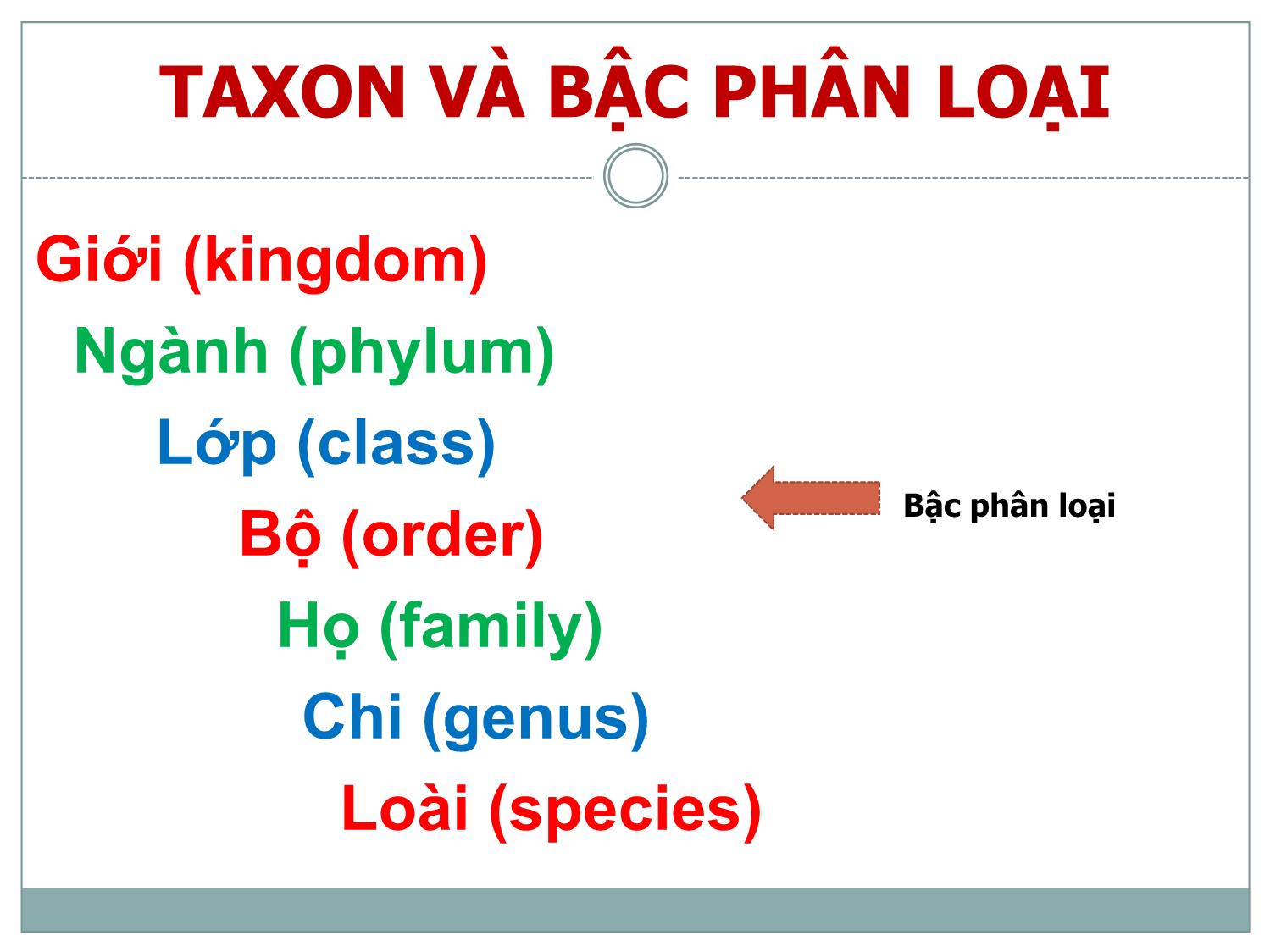 Bài giảng Danh pháp và phân loại thực vật trang 8