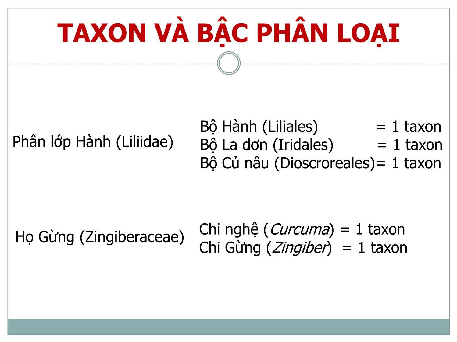 Bài giảng Danh pháp và phân loại thực vật trang 9