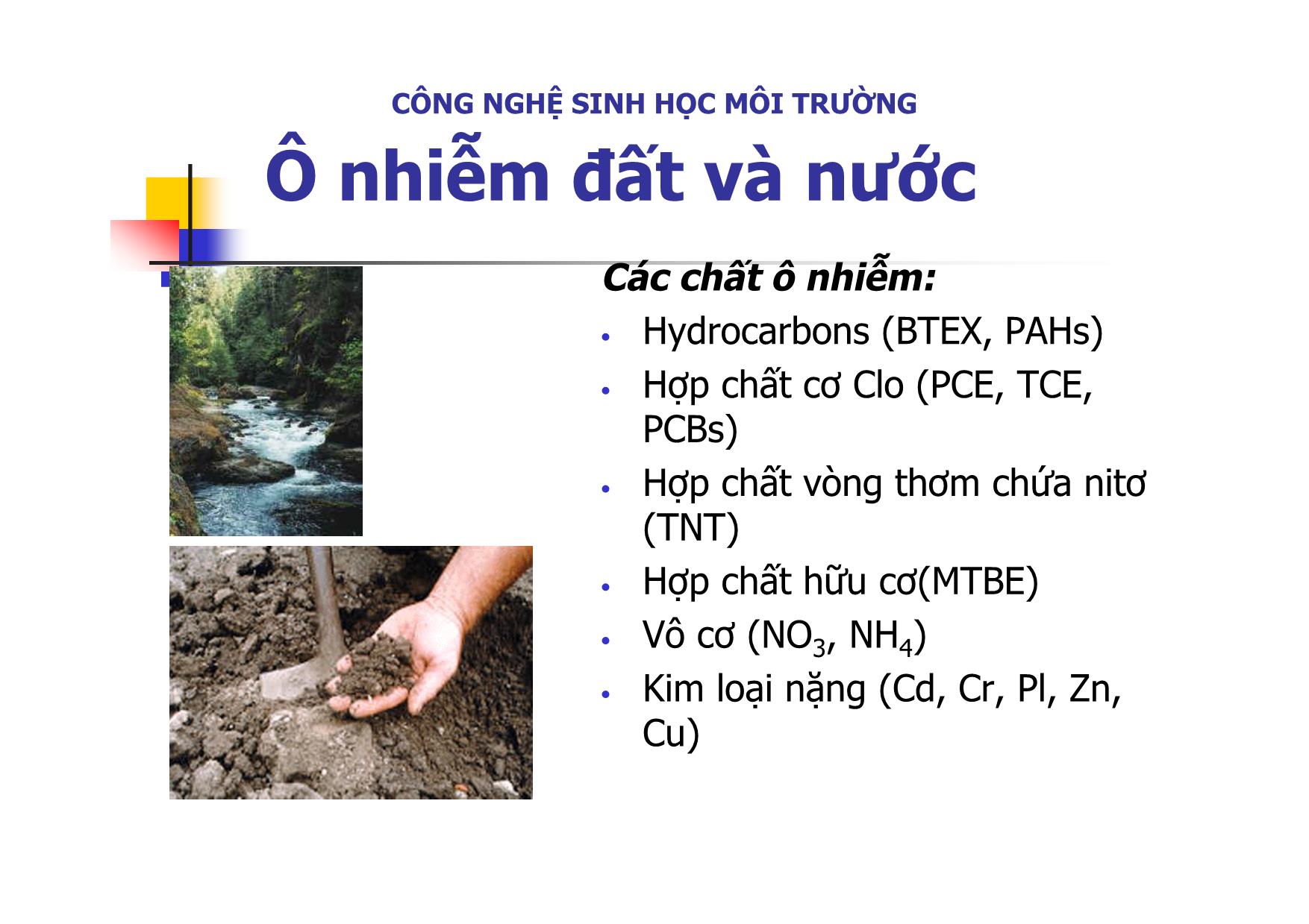 Bài giảng môn Công nghệ sinh học môi trường trang 10