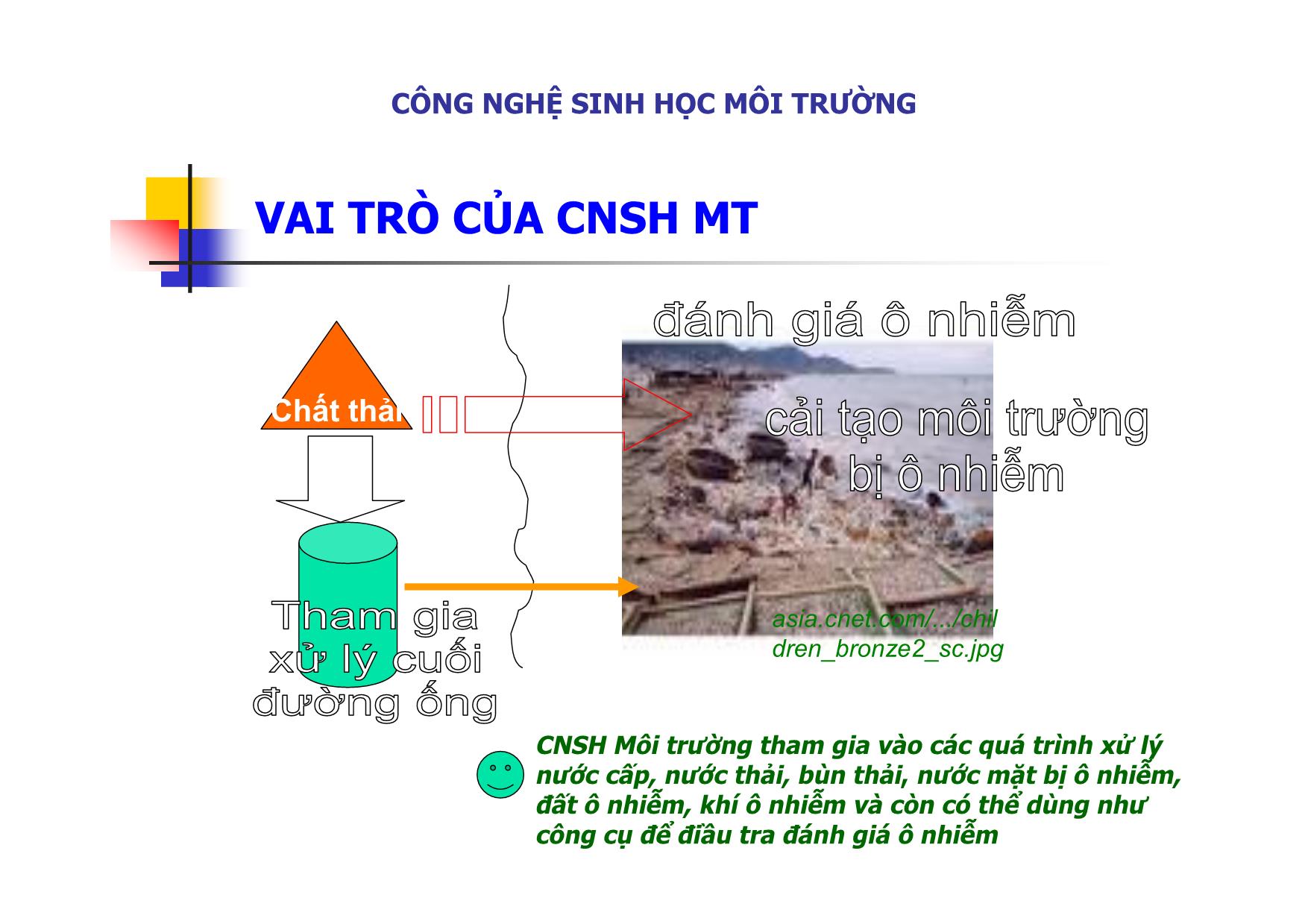 Bài giảng môn Công nghệ sinh học môi trường trang 5