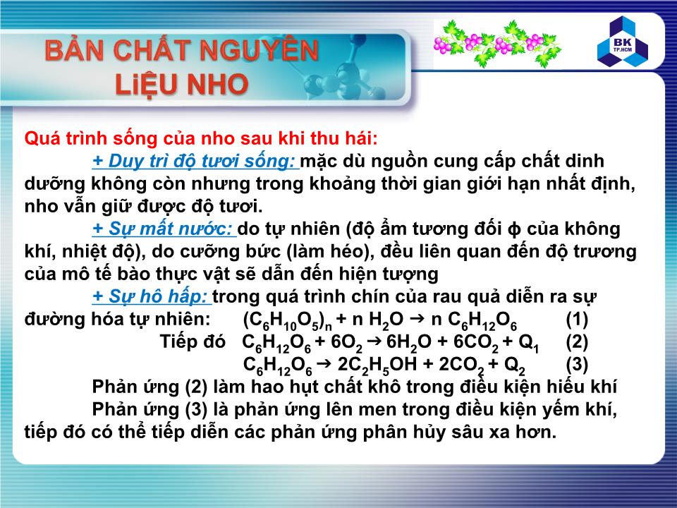 Đề tài Nguyên liệu nho và bảo quản nho sau thu hoạch trang 10