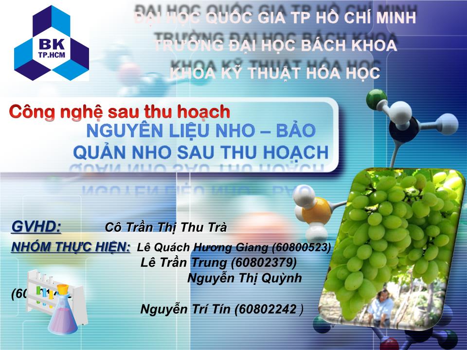 Đề tài Nguyên liệu nho và bảo quản nho sau thu hoạch trang 1