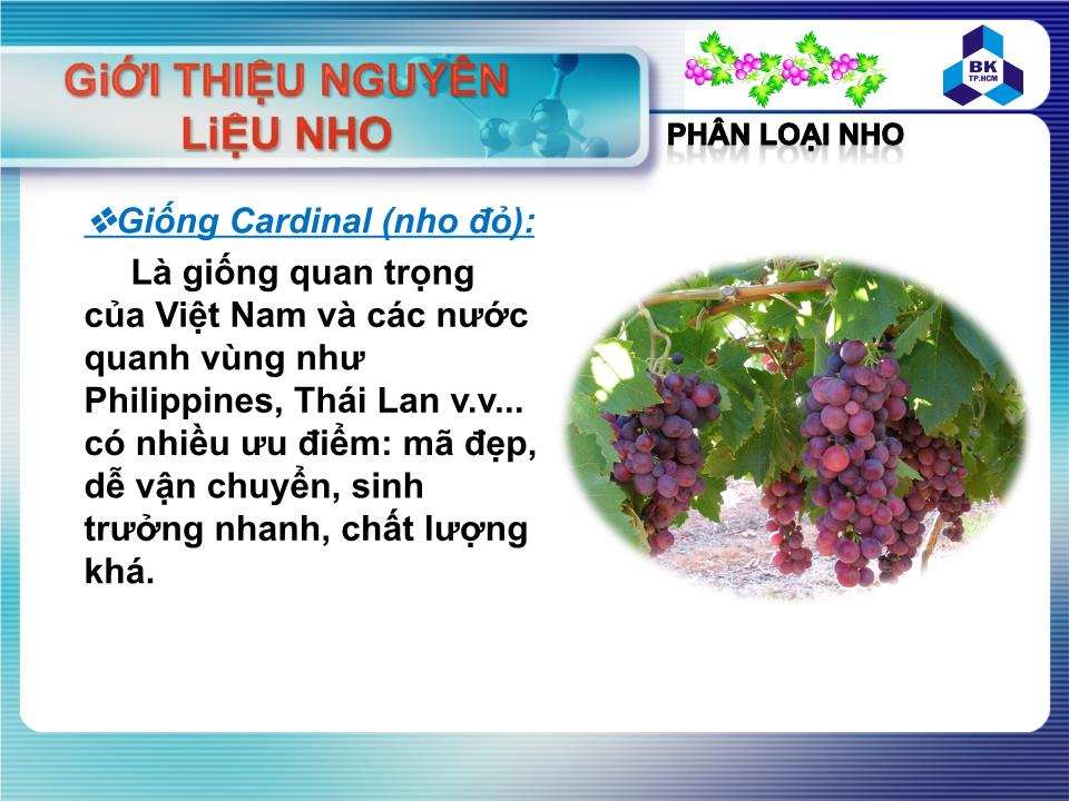 Đề tài Nguyên liệu nho và bảo quản nho sau thu hoạch trang 5