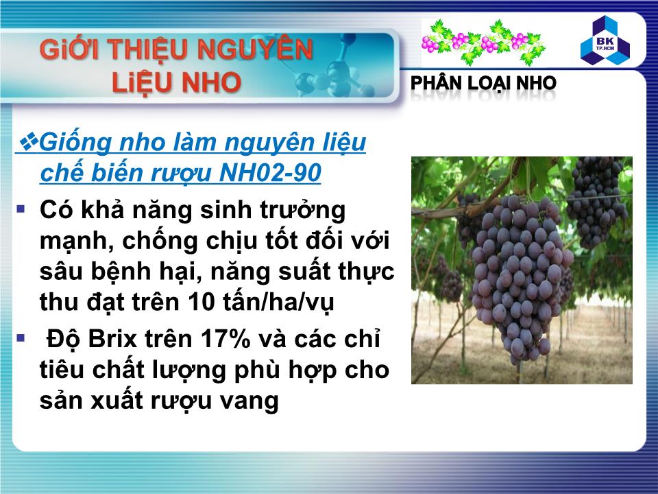 Đề tài Nguyên liệu nho và bảo quản nho sau thu hoạch trang 8