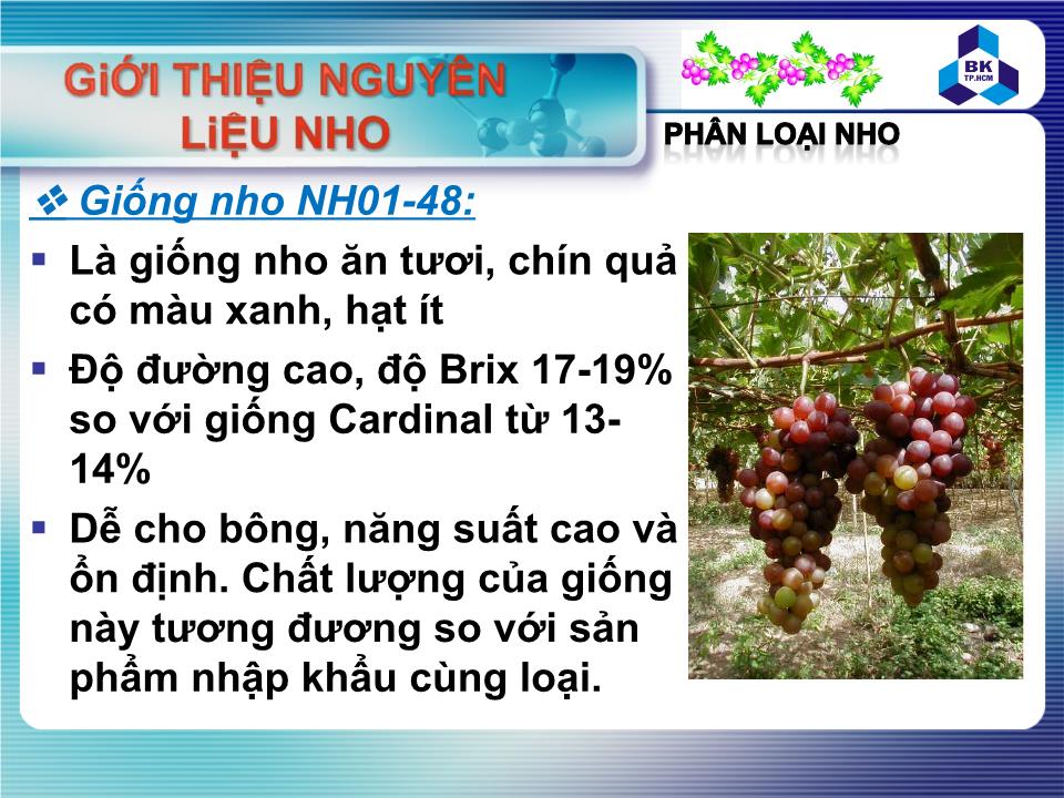 Đề tài Nguyên liệu nho và bảo quản nho sau thu hoạch trang 9