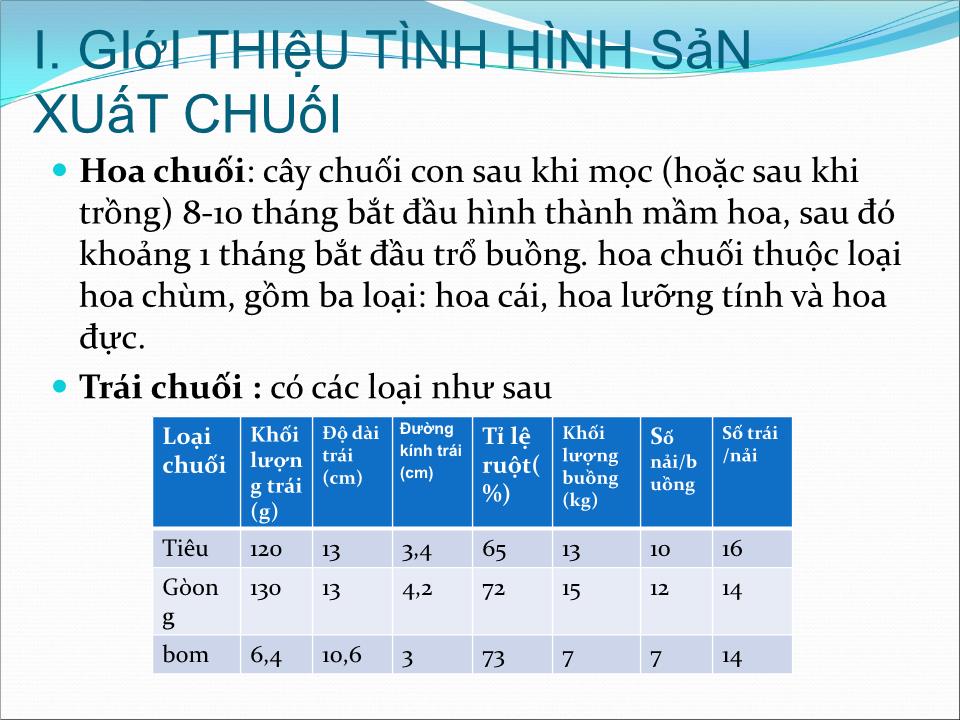 Đề tài Công nghệ bảo quản chuối sau thu hoạch trang 5