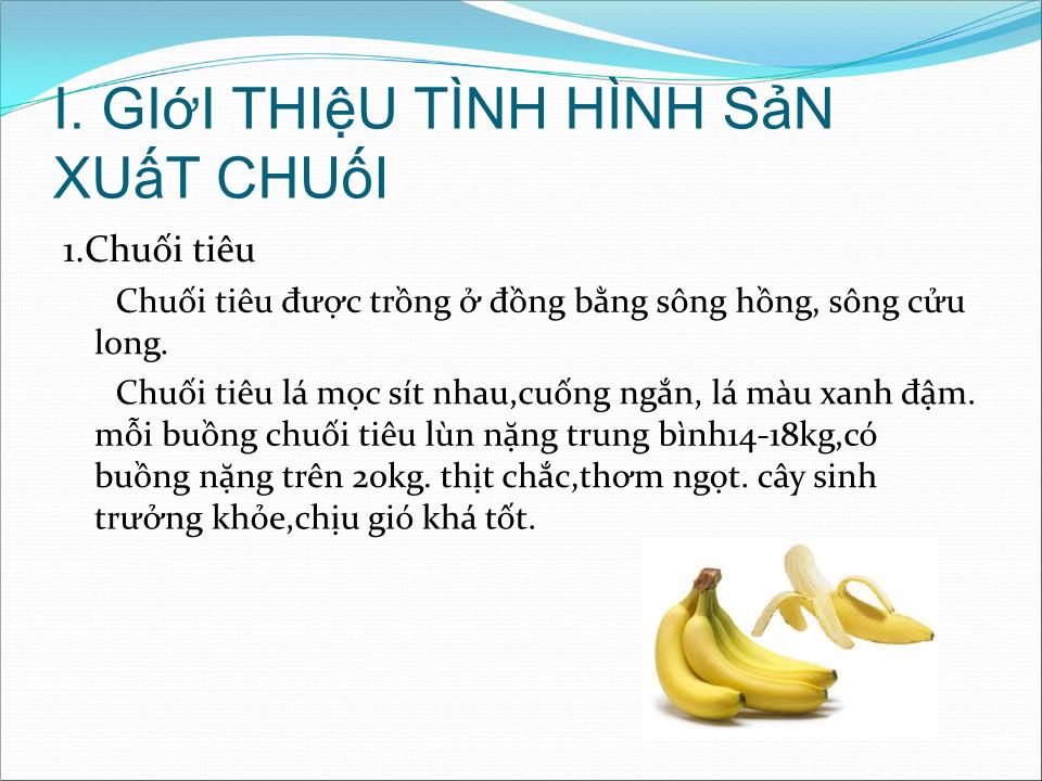 Đề tài Công nghệ bảo quản chuối sau thu hoạch trang 7