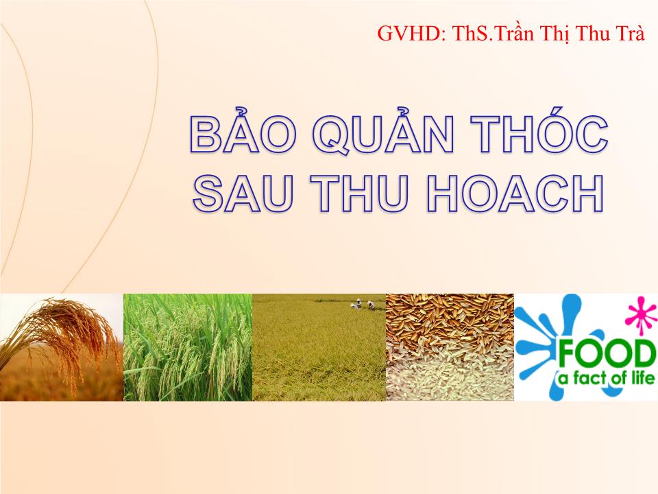 Bài giảng Bảo quản thóc sau thu hoạch trang 1