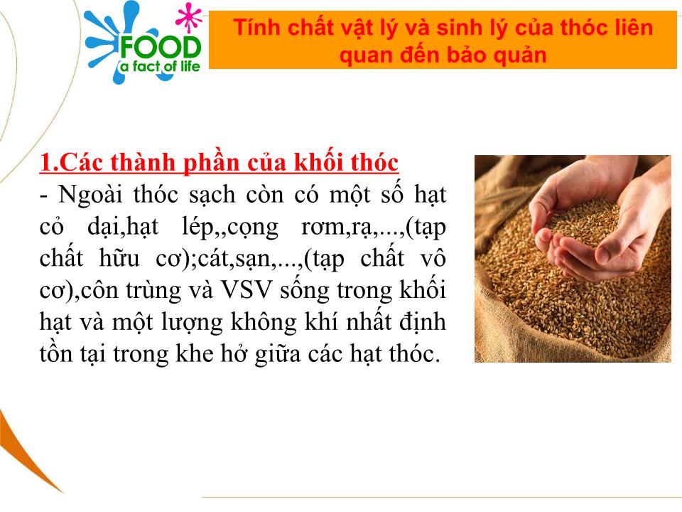 Bài giảng Bảo quản thóc sau thu hoạch trang 7