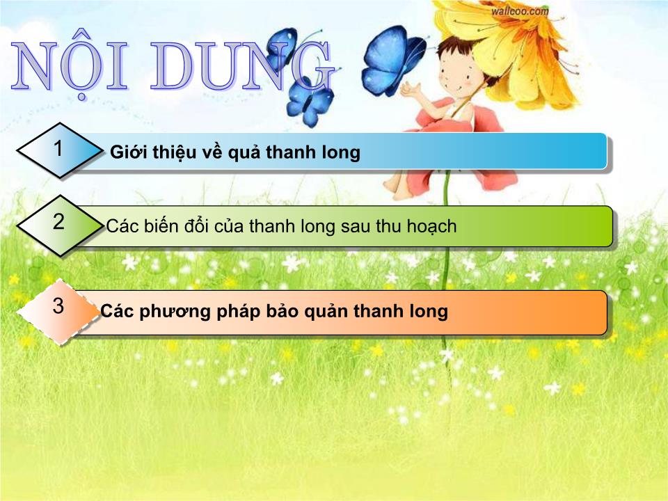 Đề tài Bảo quản trái thanh long trang 2