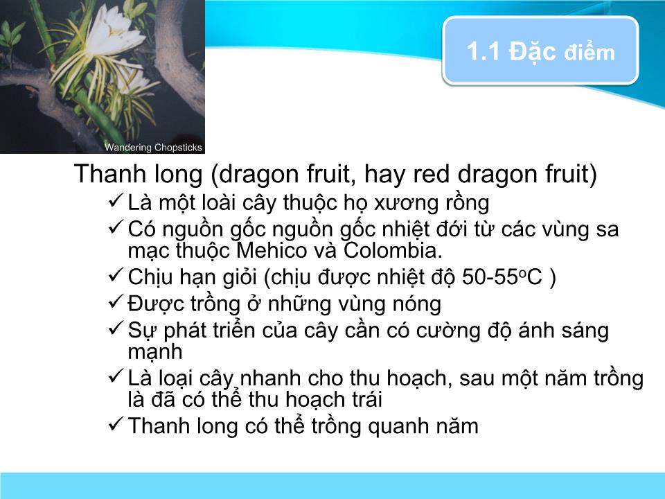 Đề tài Bảo quản trái thanh long trang 4