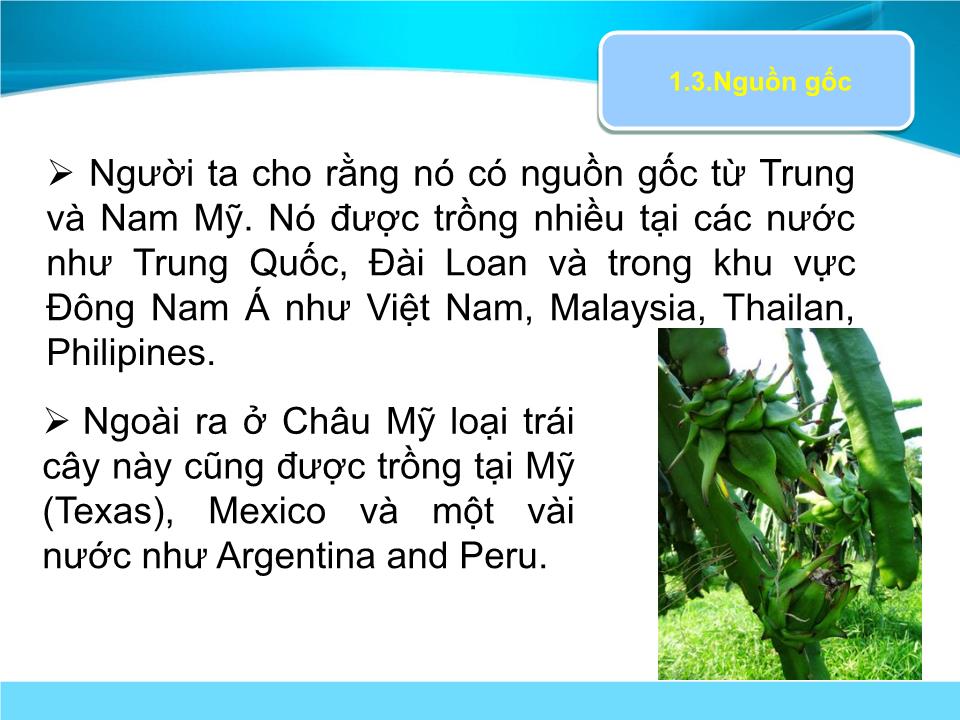 Đề tài Bảo quản trái thanh long trang 6