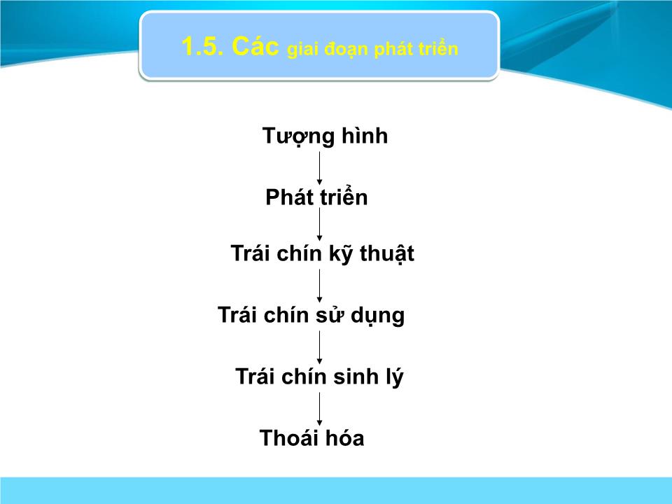 Đề tài Bảo quản trái thanh long trang 9