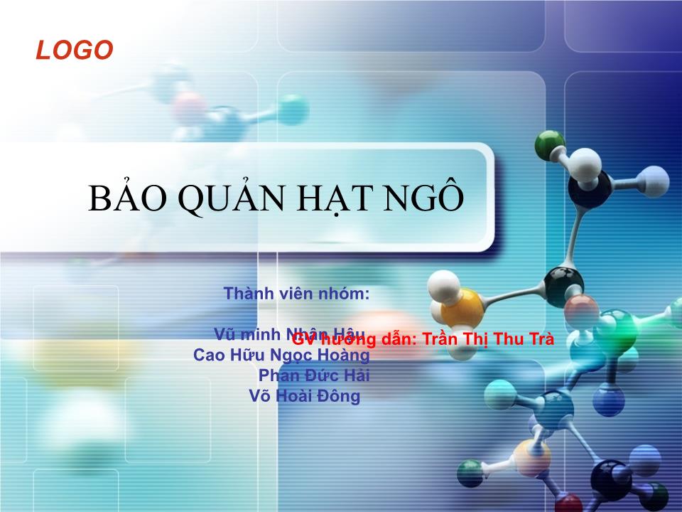 Đề tài Bảo quản hạt ngô trang 1