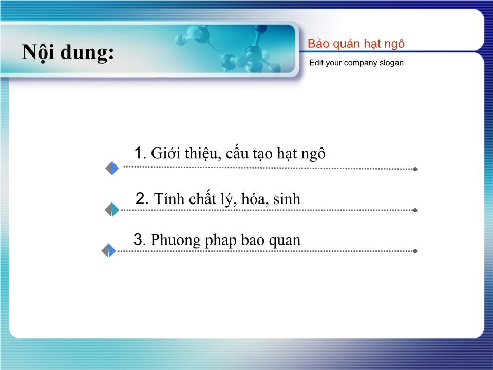 Đề tài Bảo quản hạt ngô trang 2