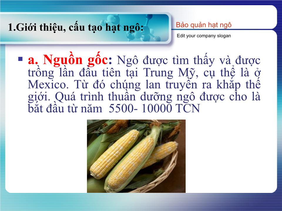 Đề tài Bảo quản hạt ngô trang 3