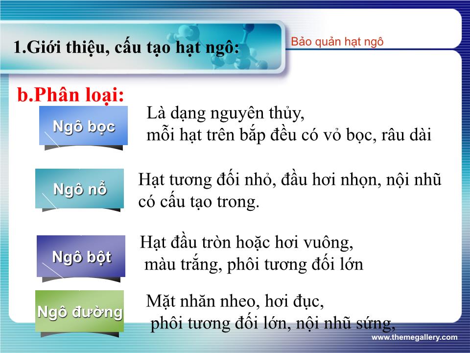 Đề tài Bảo quản hạt ngô trang 4