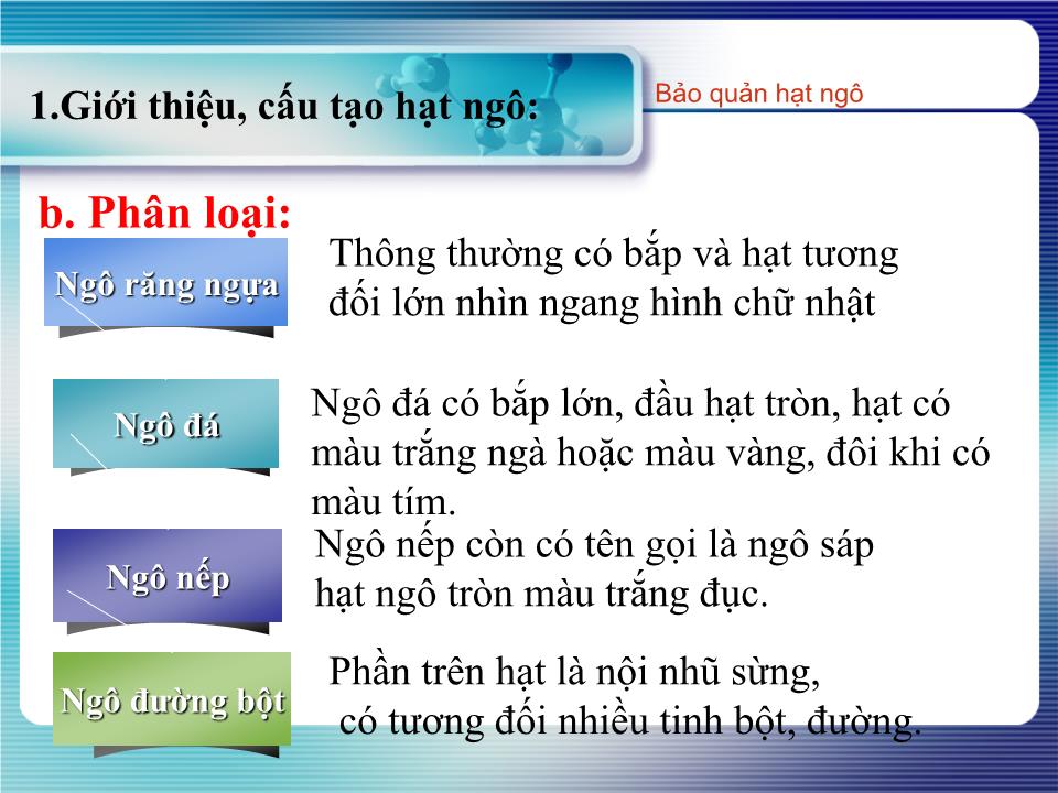 Đề tài Bảo quản hạt ngô trang 5