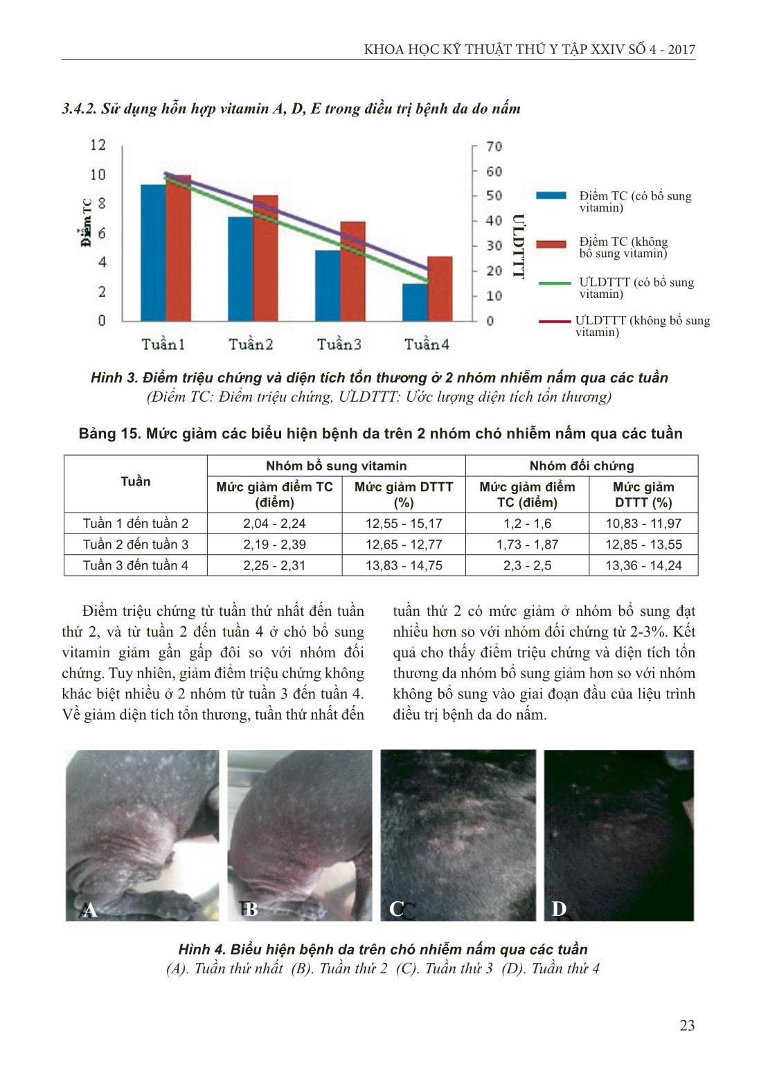 Bệnh da trên chó và hiệu quả hỗ trợ của vitamin A,D₃,E trong điều trị bệnh do Demodex và nấm da trang 10