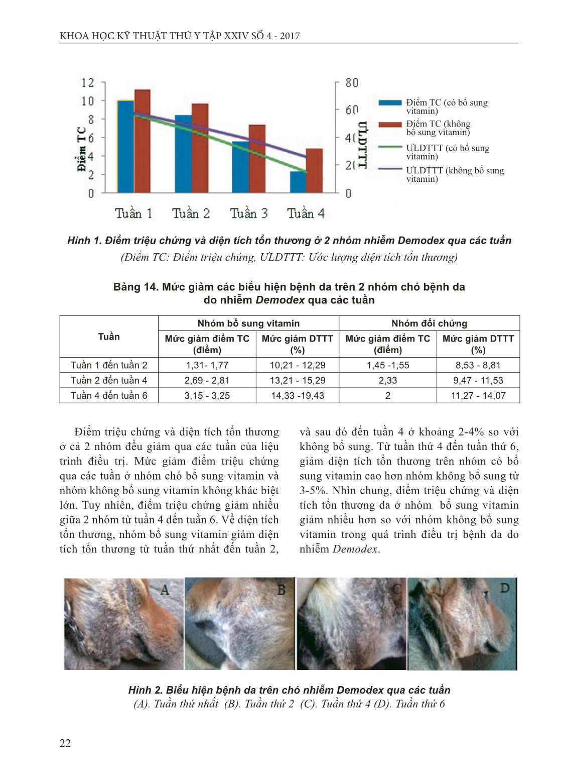 Bệnh da trên chó và hiệu quả hỗ trợ của vitamin A,D₃,E trong điều trị bệnh do Demodex và nấm da trang 9