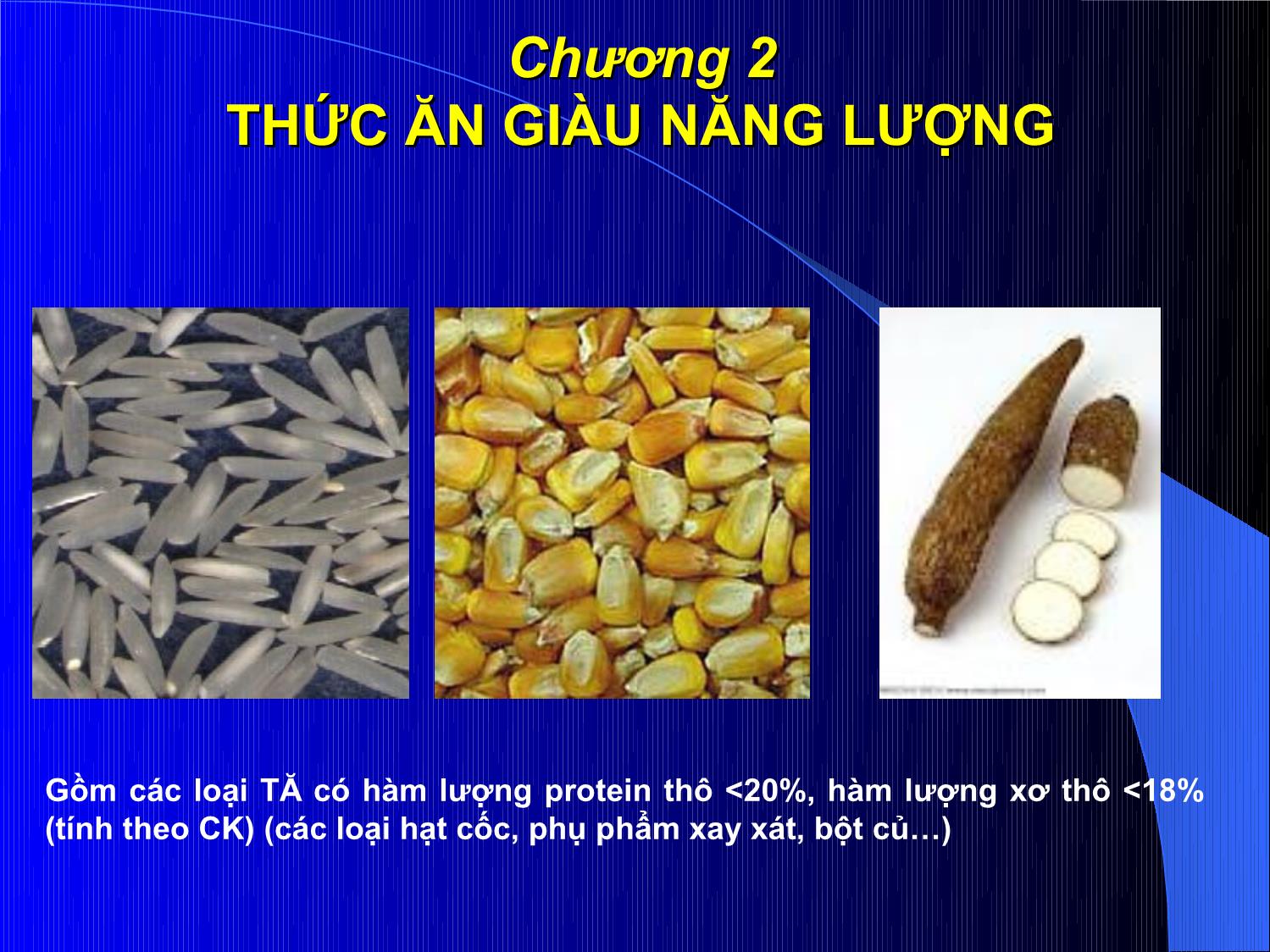 Bài giảng Thức ăn chăn nuôi - Chương 2: Thức ăn giàu năng lượng trang 1