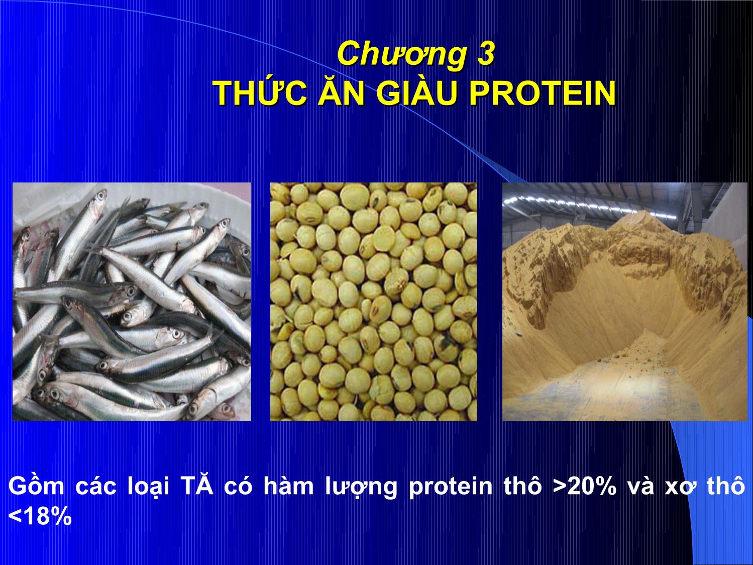 Bài giảng Thức ăn chăn nuôi - Chương 3: Thức ăn giàu Protein trang 1